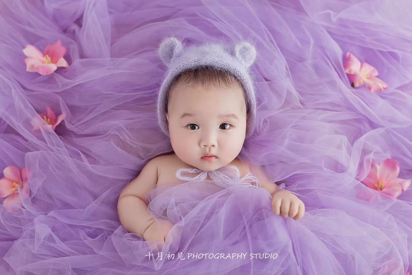 Photography Background - Newborn Photography Props Mesh Backdrop Tulle