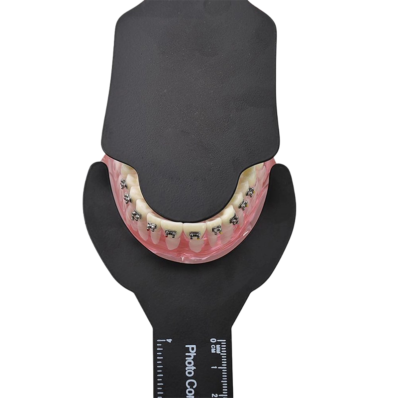 Photography Background - Dental Photography dentistry Photo Contrast kit