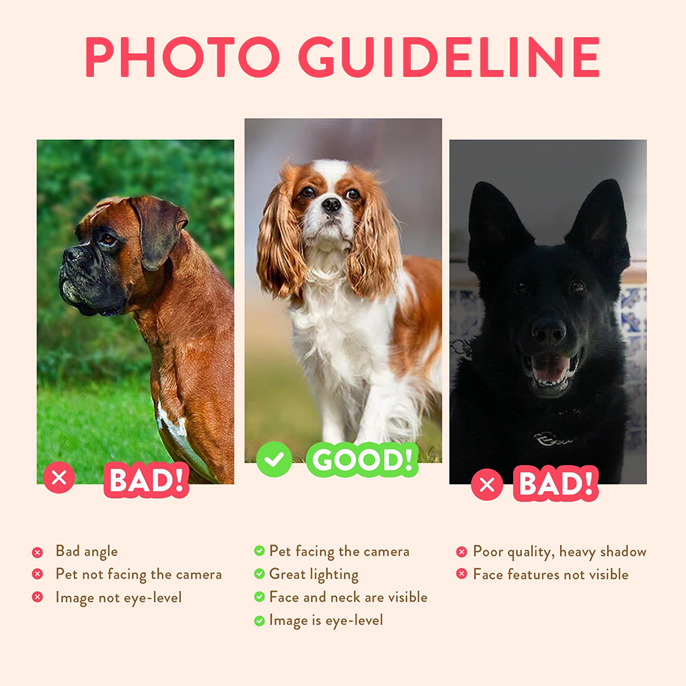 Personalized Pet Portraits Pho - Photograph Lyrics reseña y precio