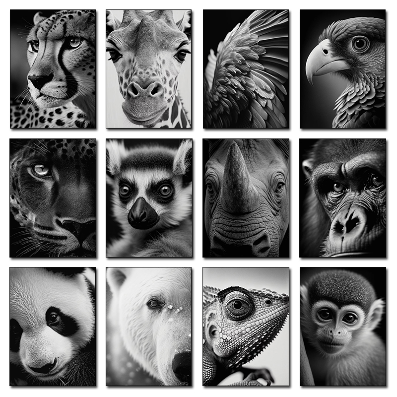 Wildlife Animals Photography P - Photography Close Up reseña y precio