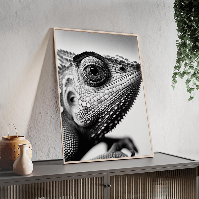 Wildlife Animals Photography P - Photography Close Up reseña y precio