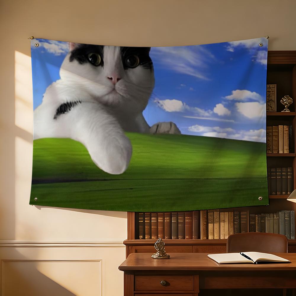 Interesting Cat Photography Fl - Photography Interest reseña y precio