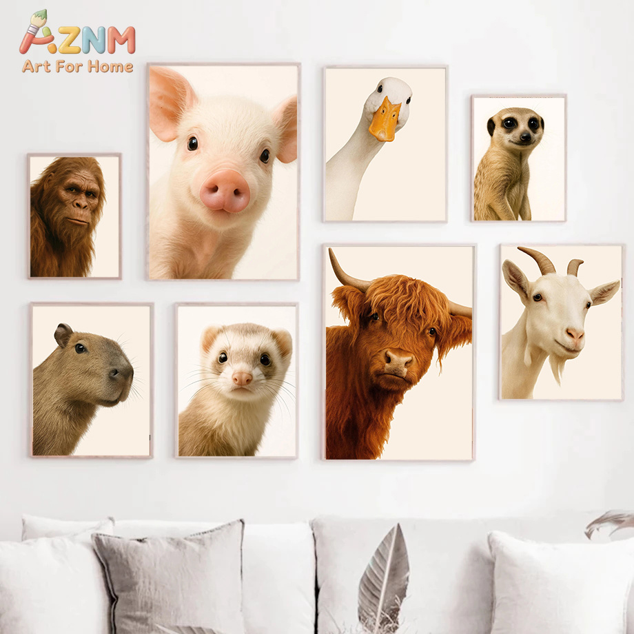 Interesting And Humorous Anima - Photography Interest reseña y precio