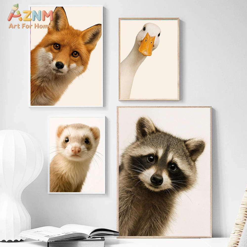 Interesting And Humorous Anima - Photography Interest reseña y precio