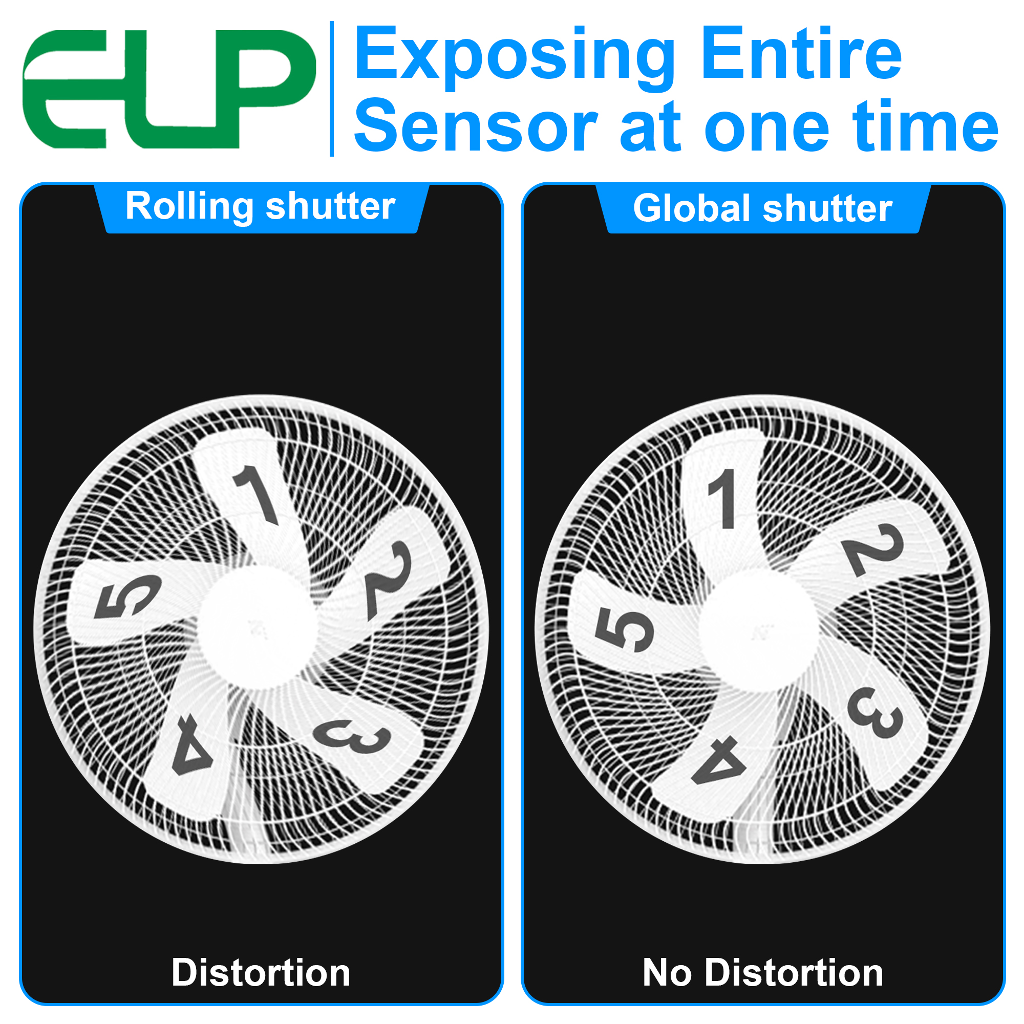 ELP 1200P 90fps Global Shutter - Photography High Angle reseña y precio