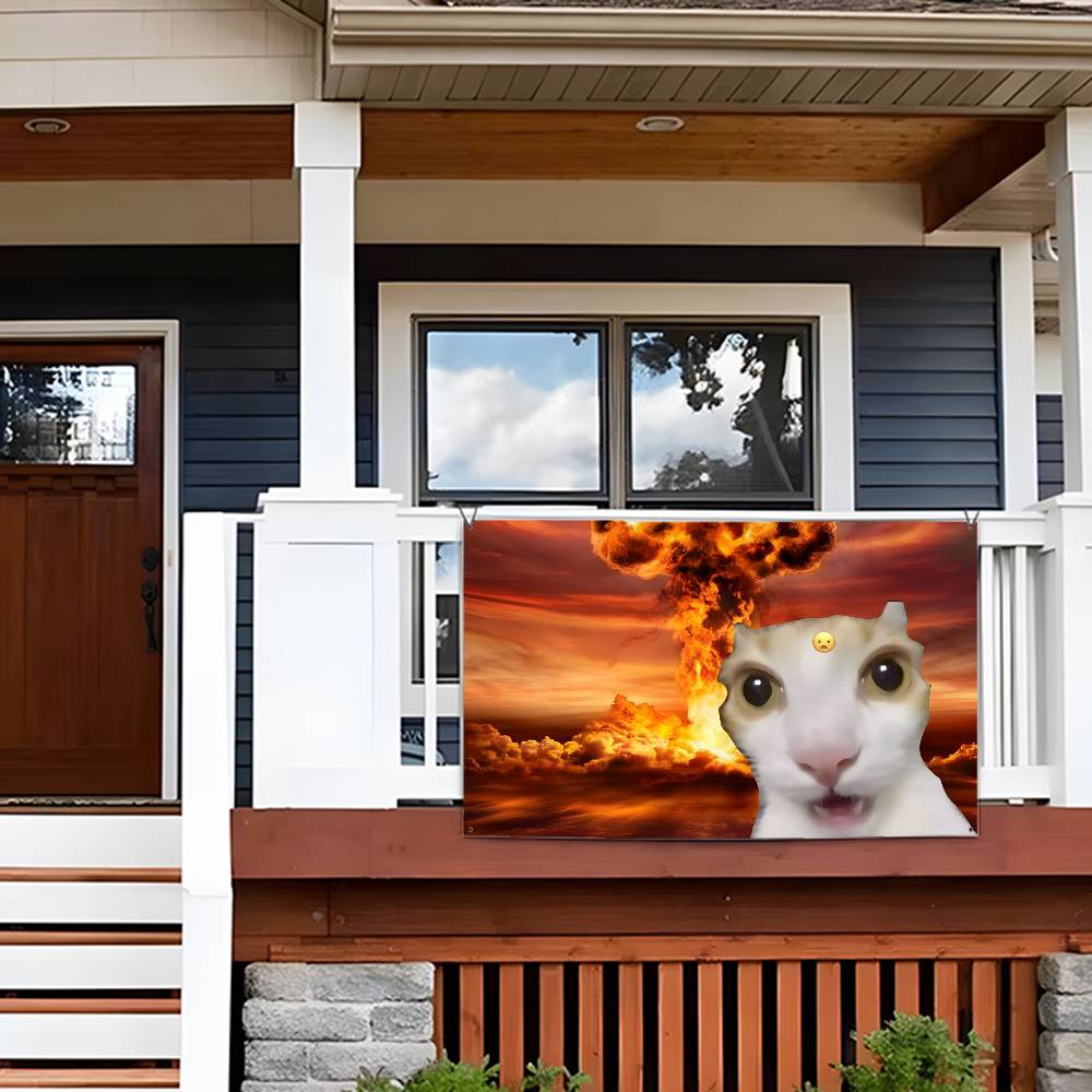 Interesting cat photography Fl - Photography Interest reseña y precio