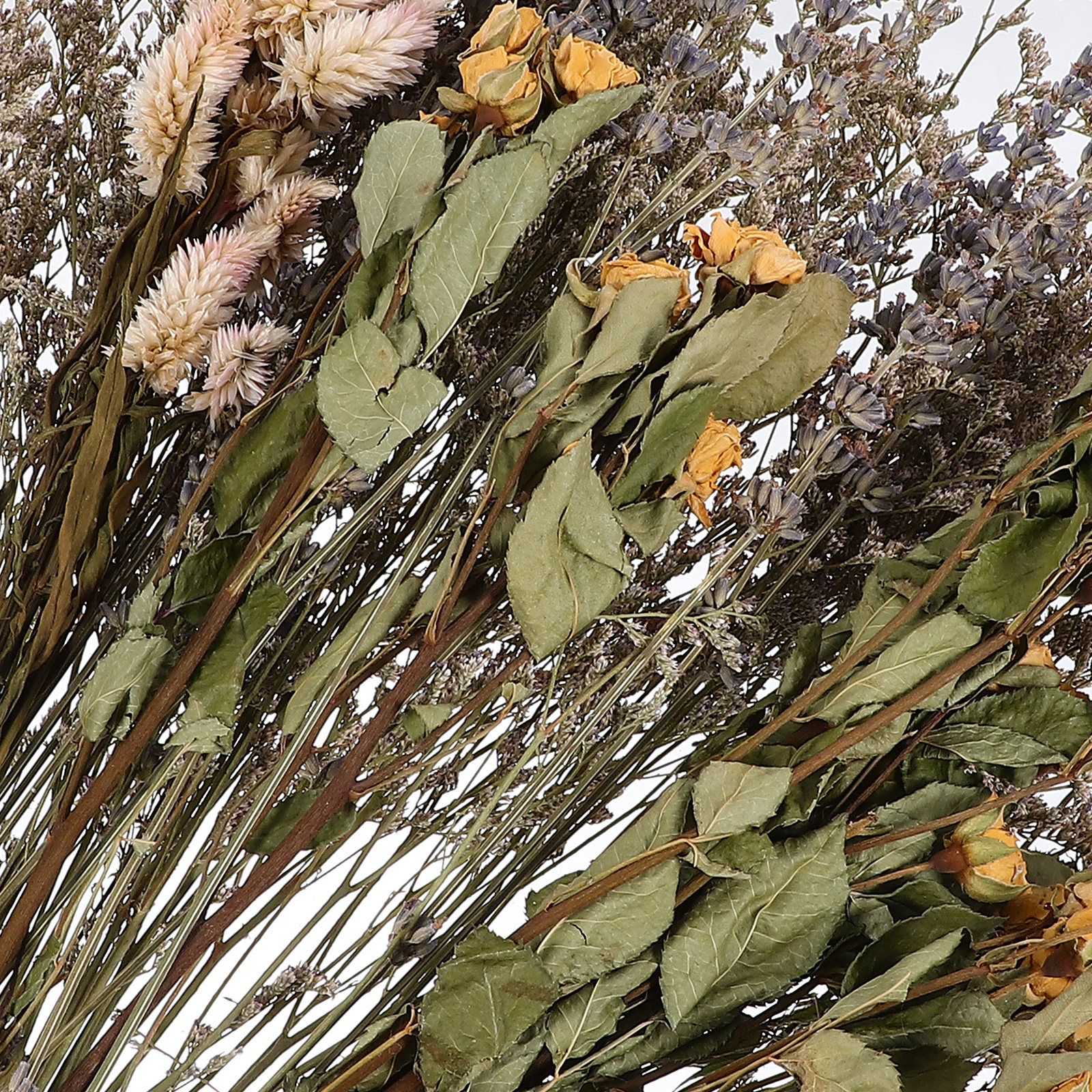 Dried Lavender Roses BouquetPr - Photography Background reseña y precio