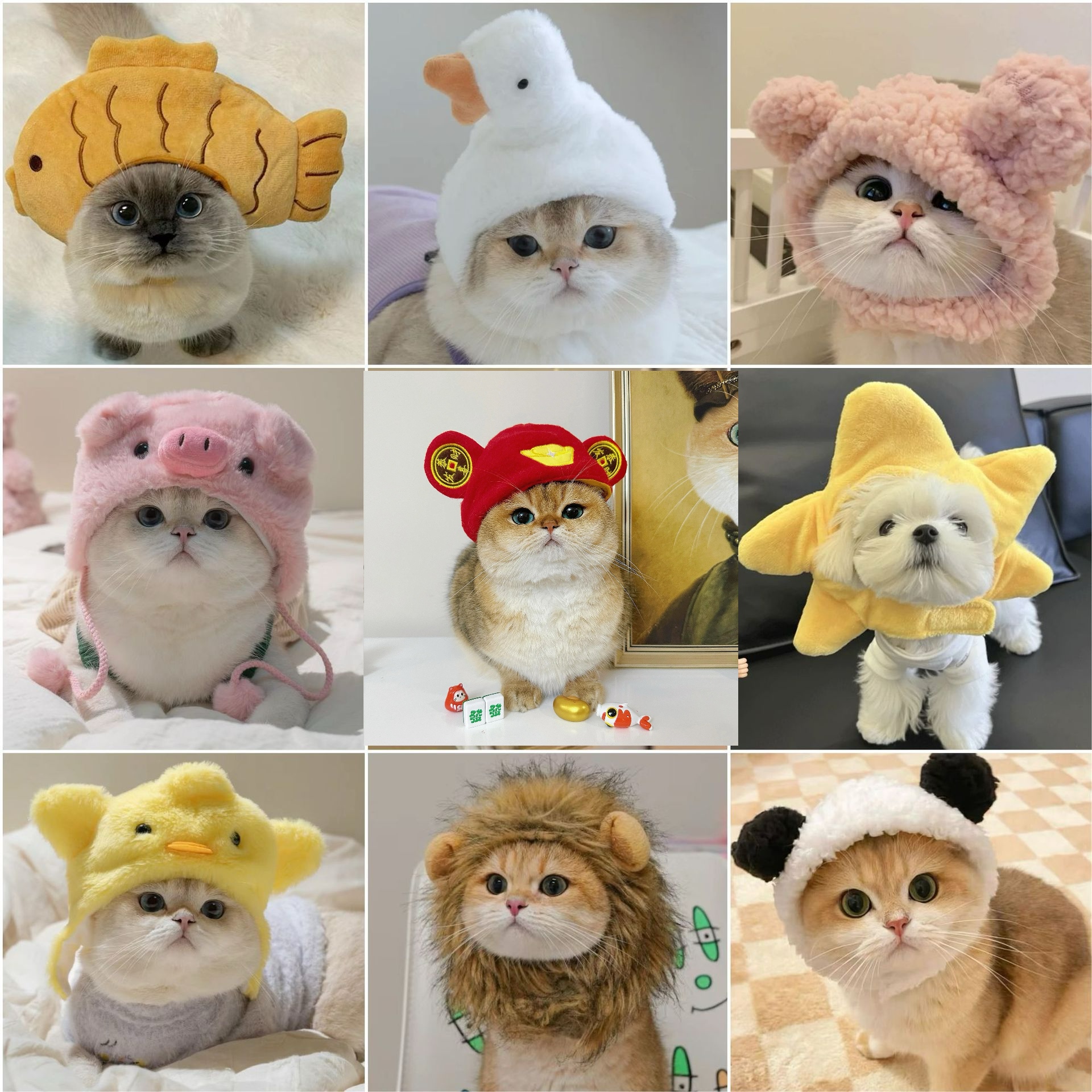 1pcs Interesting pet headwear  - Photography Interest reseña y precio
