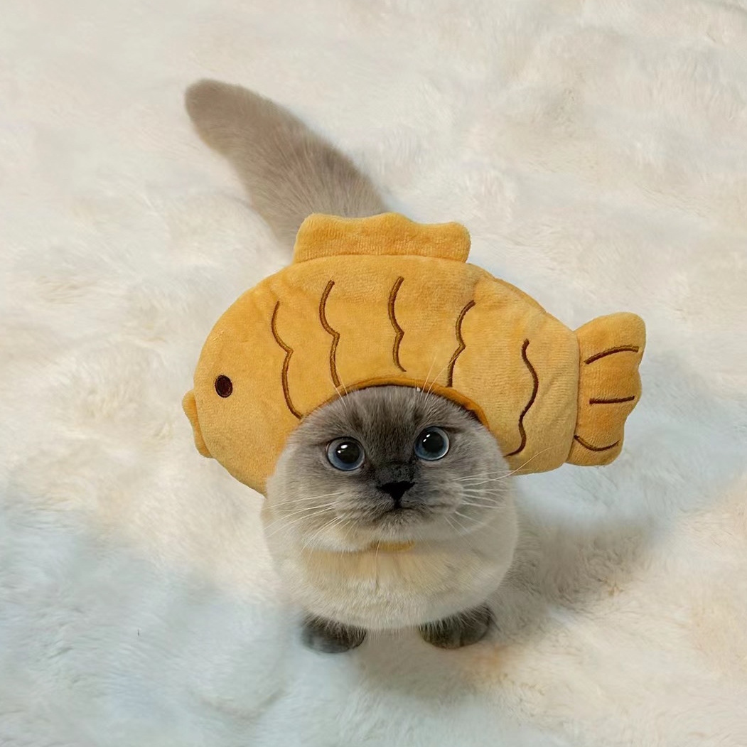 1pcs Interesting pet headwear  - Photography Interest reseña y precio