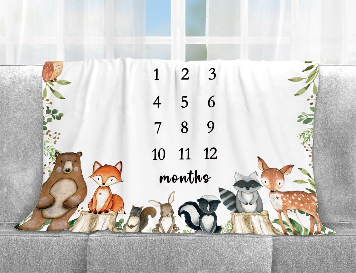 VIKAMA Little Fresh Forest Ani - Photography Background reseña y precio
