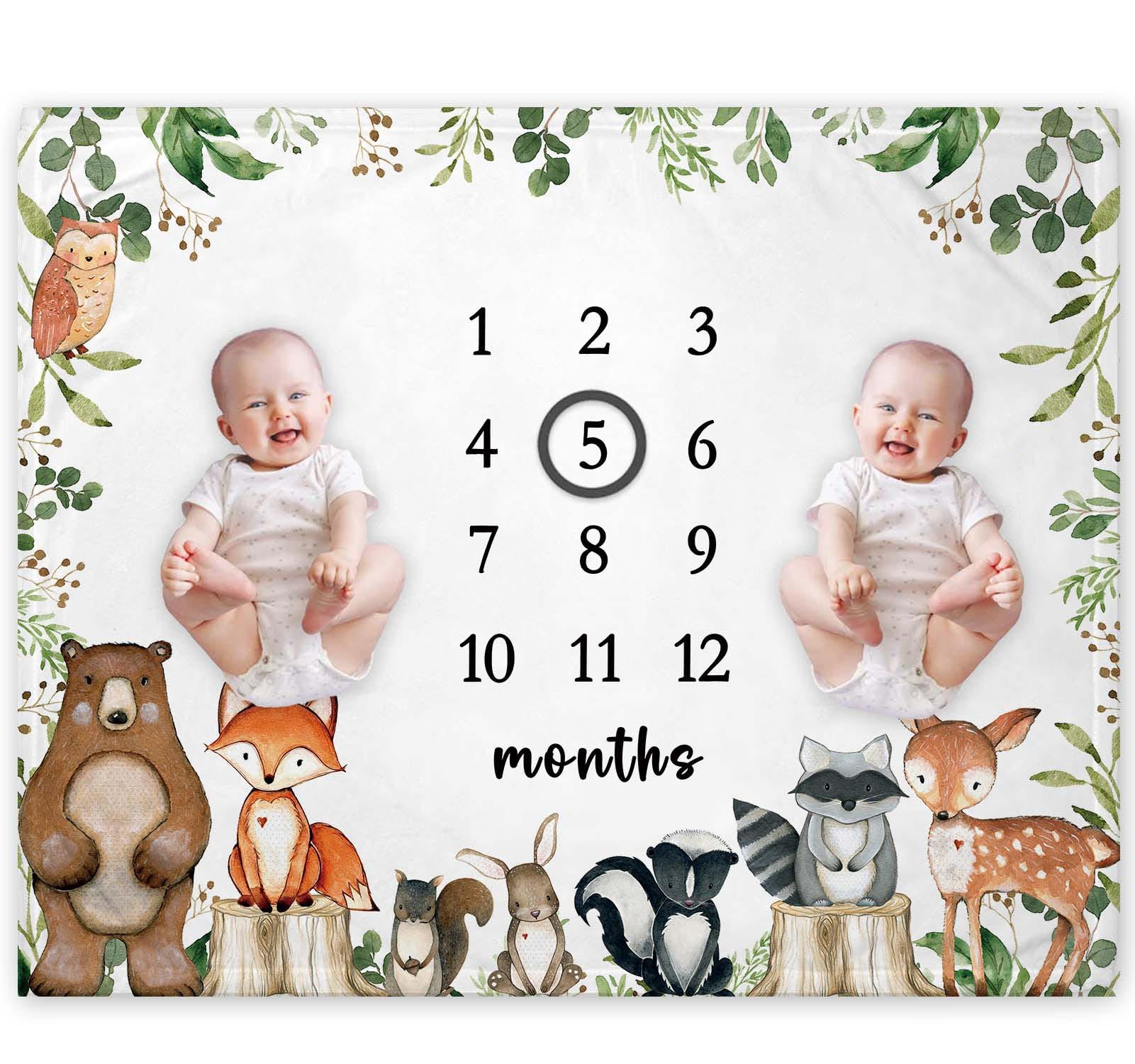 VIKAMA Little Fresh Forest Ani - Photography Background reseña y precio